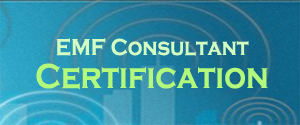 EMF Consultant Certification Training for professionals by professionals