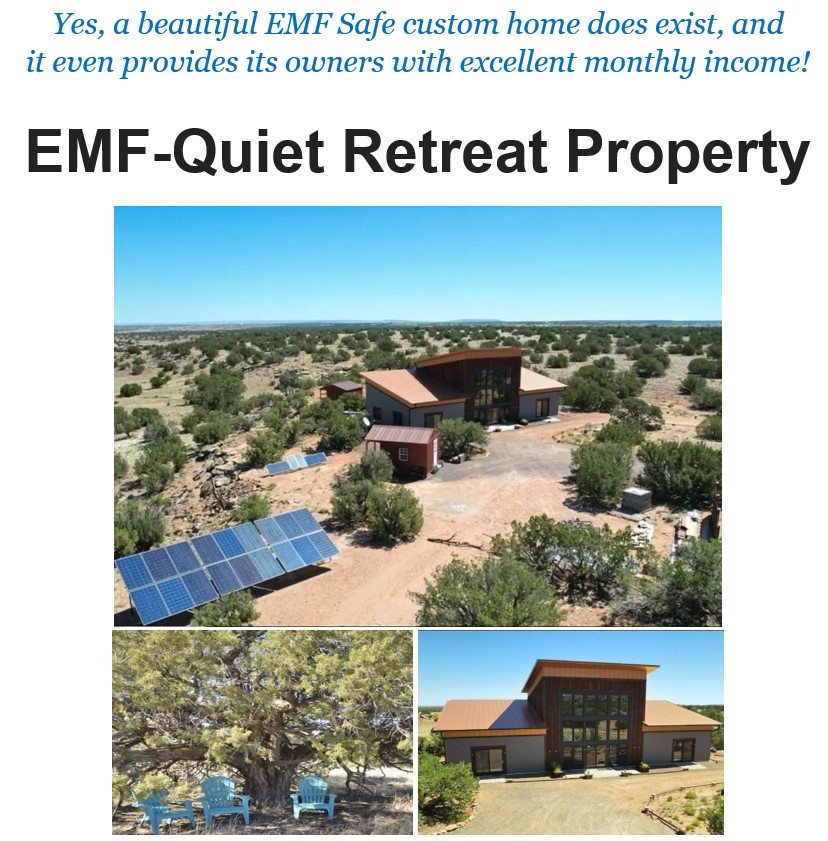 EMF-Quiet Retreat Flier