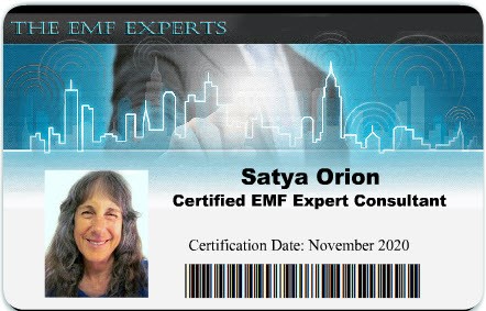 Satya Orion ID card