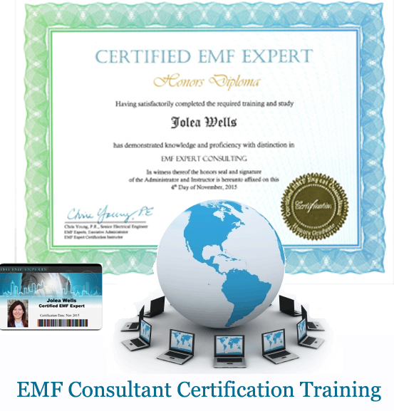 EMF Consultant Certification Training Diploma