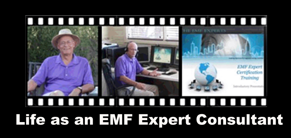 EMF Expert Certification Training Intro